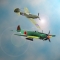 Dogfight