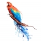 liquid_color