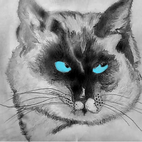Vegas: The Cat - 