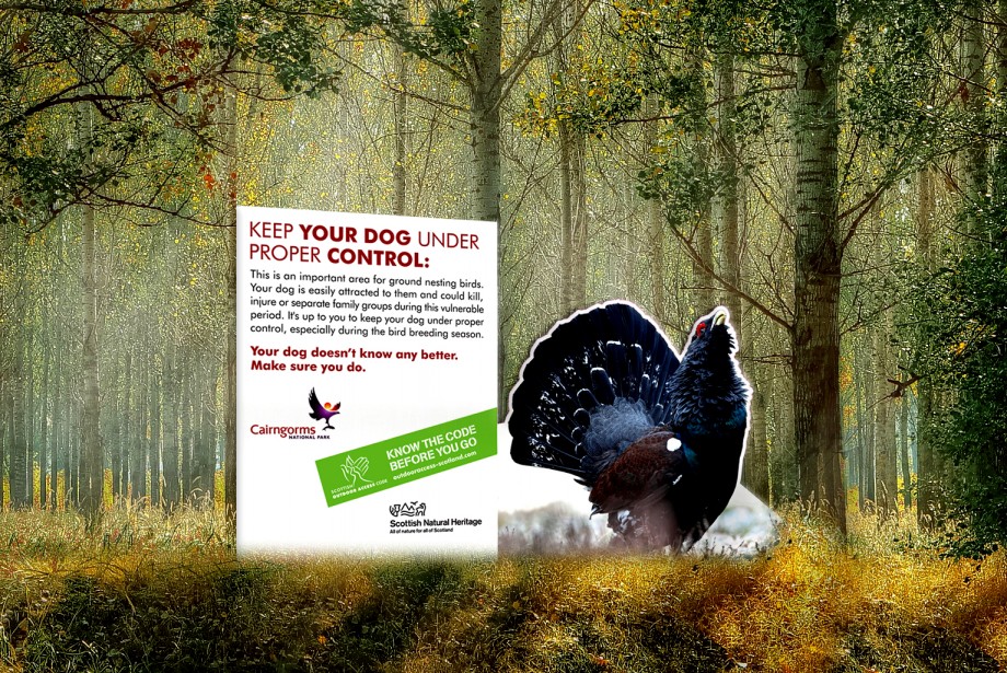 Outdoor Signage Design - 