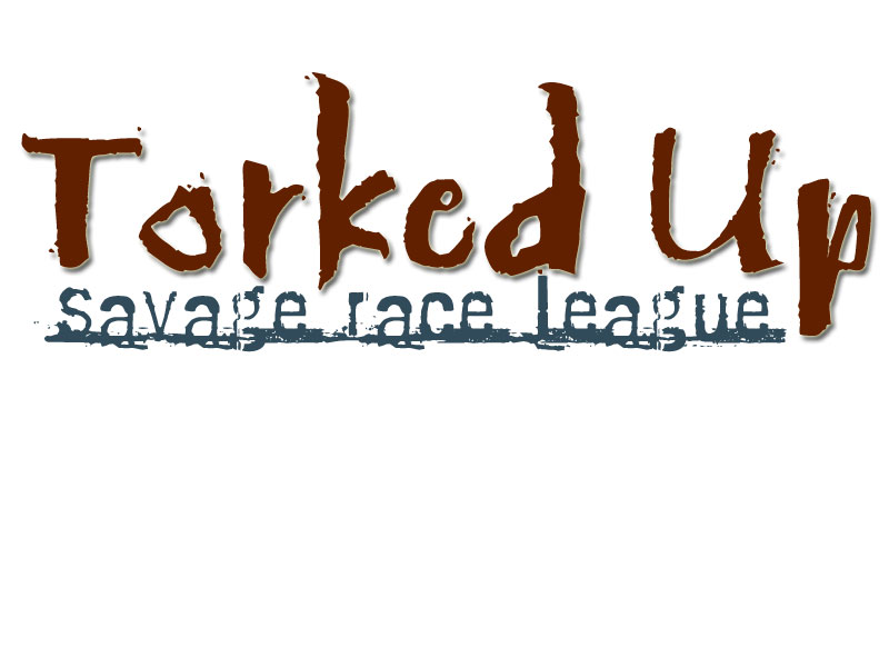Logo Design - 