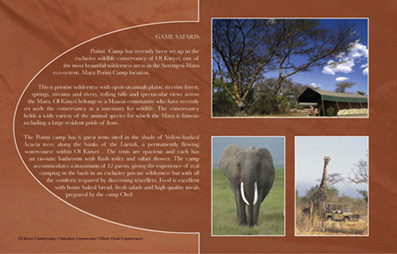Brochure - 