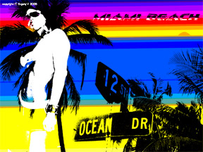 SOUTH BEACH POSTER - 