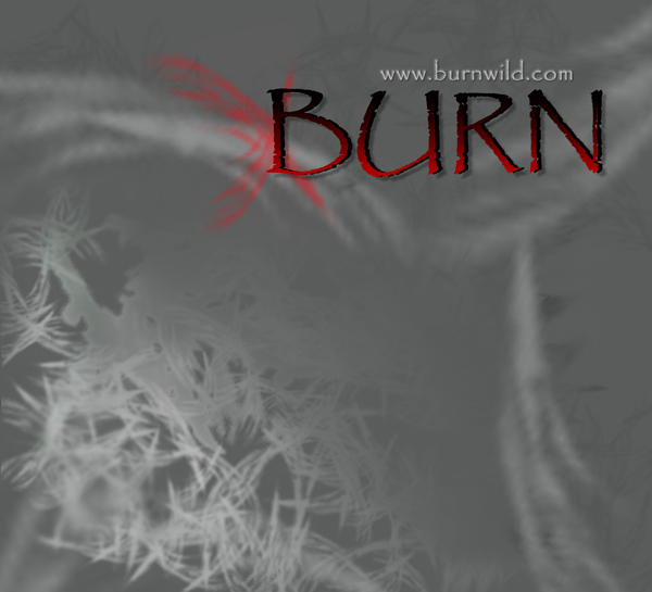 Cd Cover - 