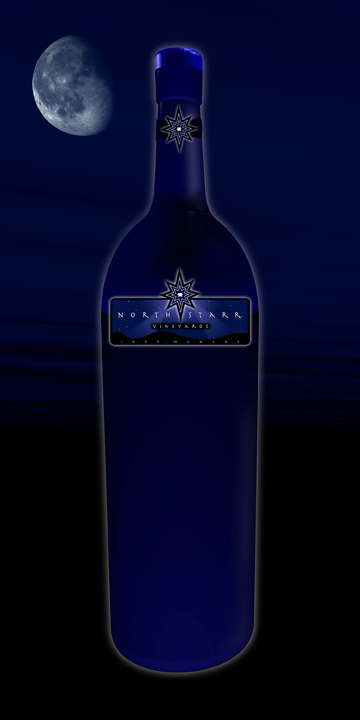 Wine Bottle 3D - 