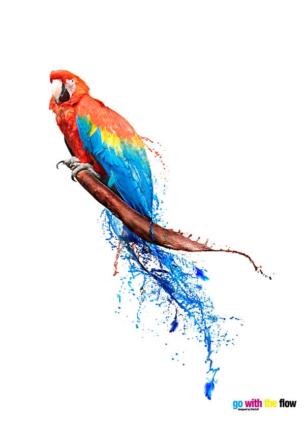 Liquid_color - 