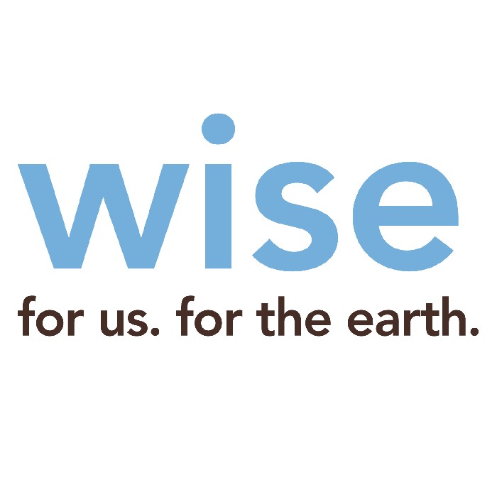 WISE Logo Design - 