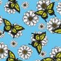 Daisy and Butterfly Pattern by Janelle Dimmett Jan