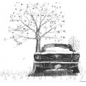 Mustang Broken and Neglected by Greg Jones