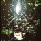 Nature spirit
