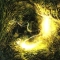 Nature Rising 2
