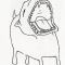 Claradog