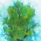 green solitude