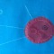 microbe
