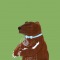 Bear Hug