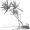 Palmtree-House Tiki Bar