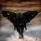 Dark Ressurection