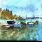 boats in the yard