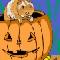Halloween Hamster