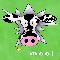 Interupting Cow