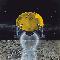 Lunar Lift Off