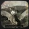 Bat Cat