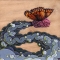 Transitional Fluidity