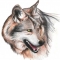 LOOKBACK WOLF 2