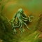 Cthulhu