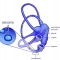 Cupulolithiasis - illustration of inner ear