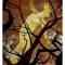 actaeon