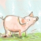 pig