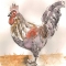 rooster