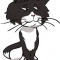Mischevous Cat