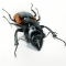 Stag Beetle (female)