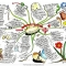Repelling Negativity Mindmap