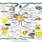 Happiness Mindmap