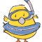 Snorkling Chickie