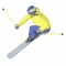 Skier