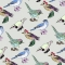 A Birds New shoes Pattern