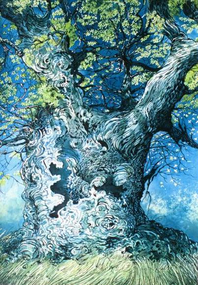 Old Oak - 