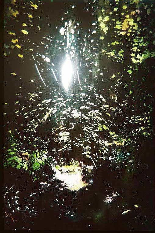Nature Spirit - 