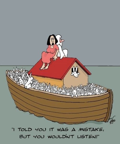 Noah's Dilemma - 