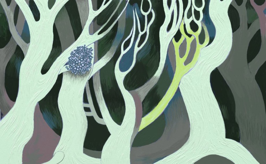 Winterwood - 