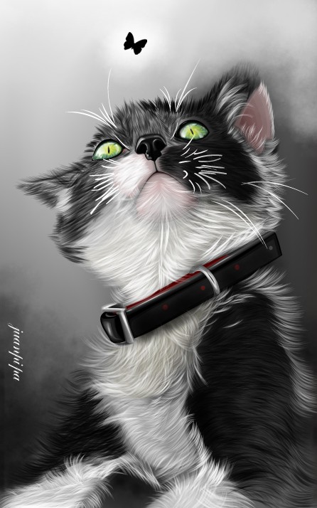 Lucky - 