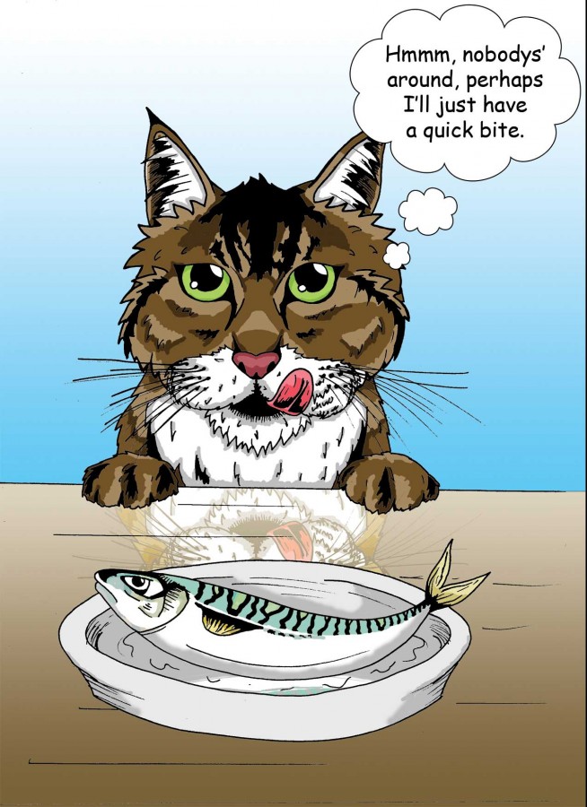 The Mischevious Cat - 