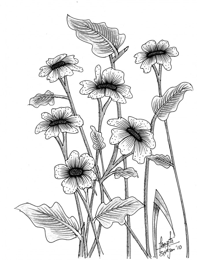 Flowers - 