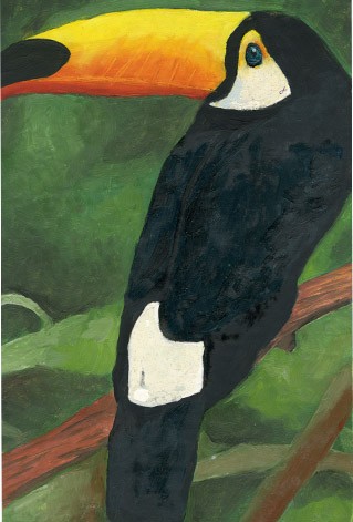 Toucan Daydreams - 