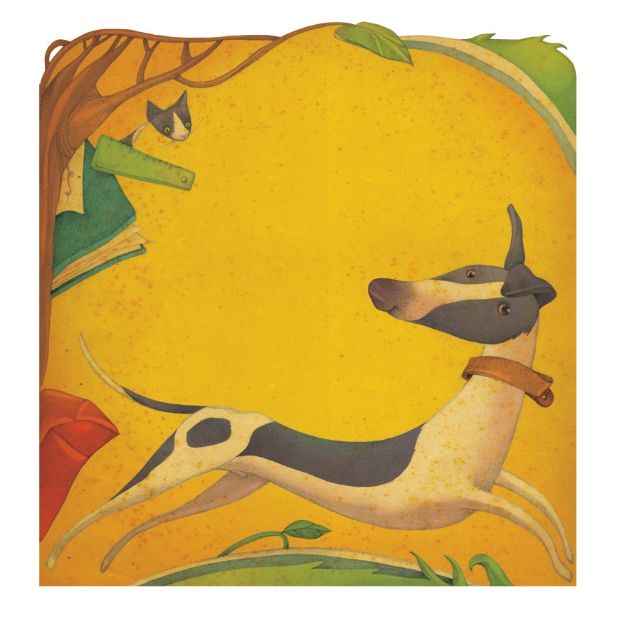 Cat & Dog - 