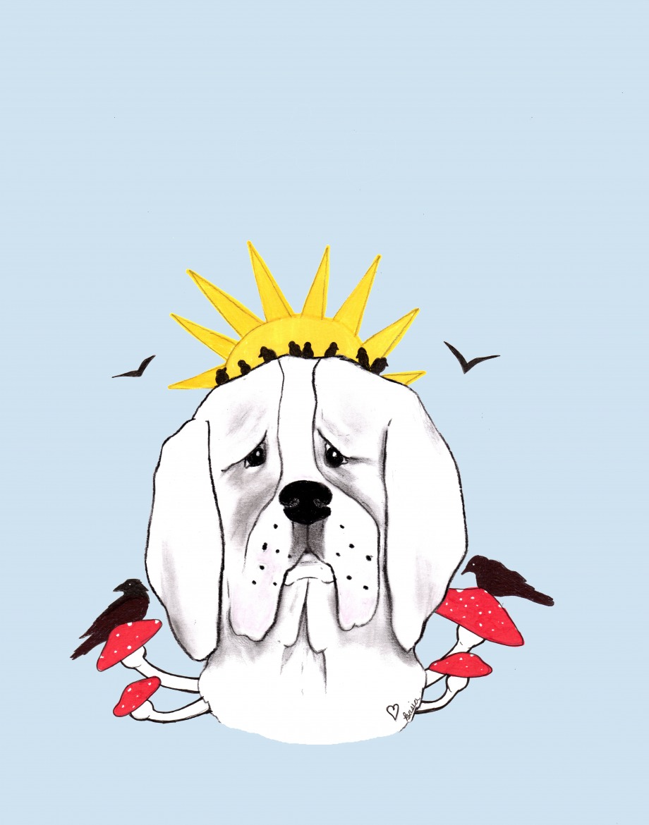 Sunshine - 